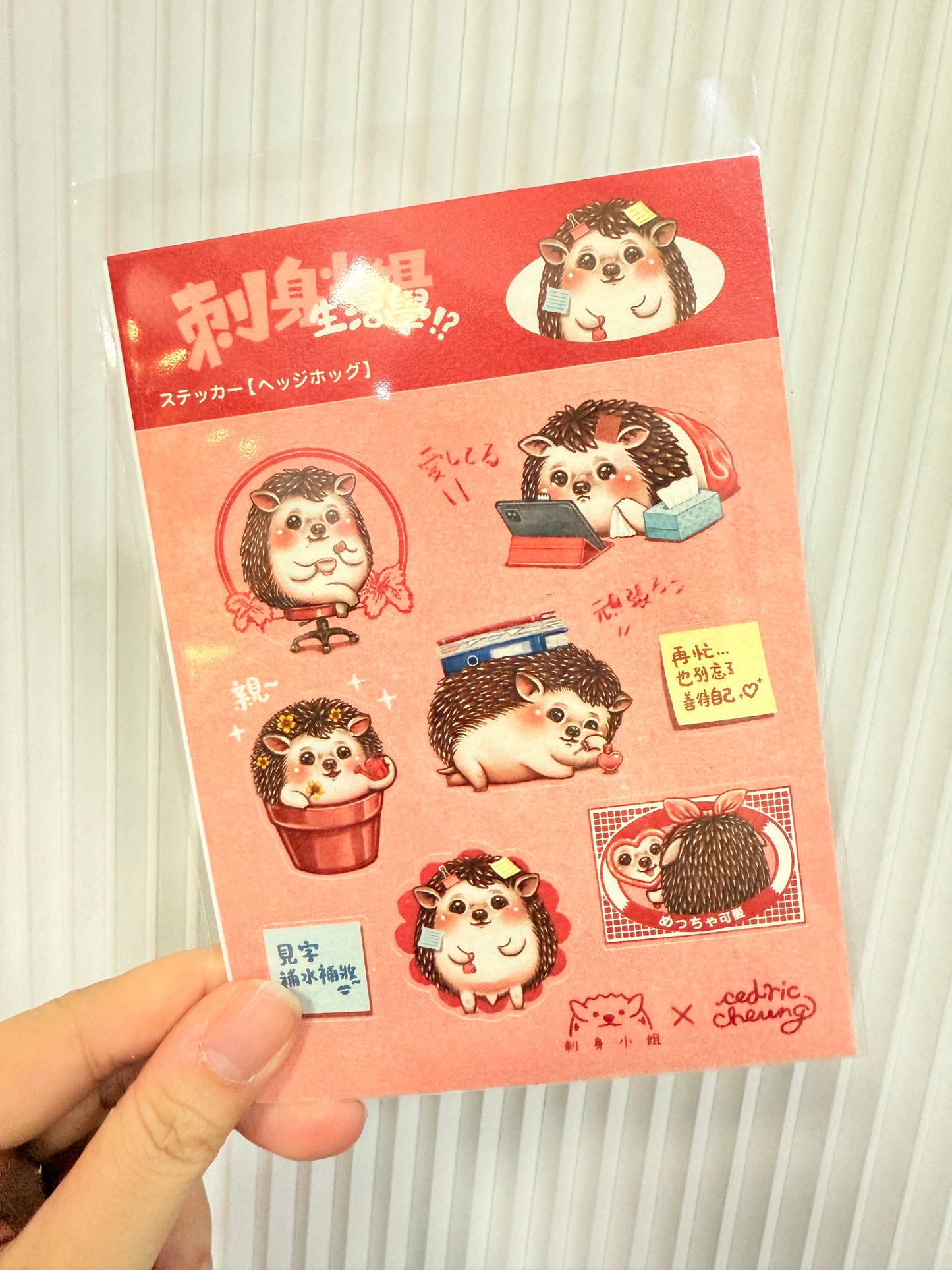 刺身小姐生活學系列