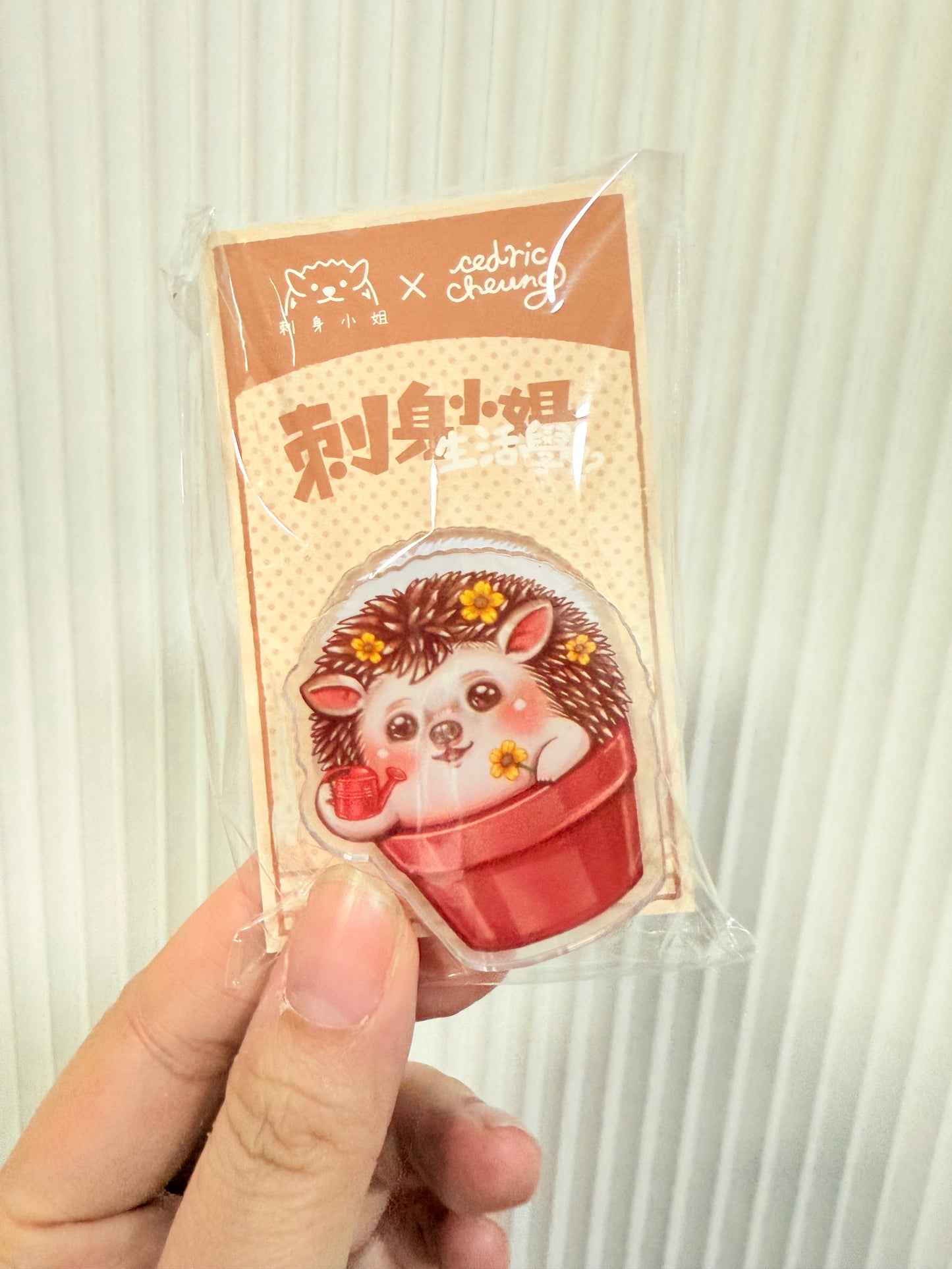 刺身小姐生活學系列